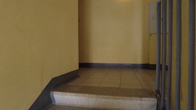 Славянка ( п.Шушары) Обзор с квадрокоптера и видеообзор Продаваемой в нем квартиры ? смотреть онлайн