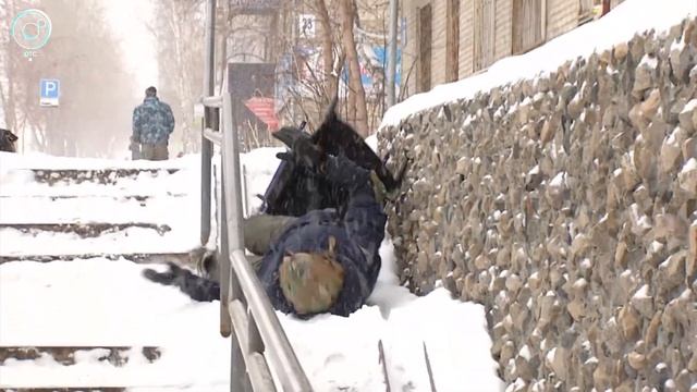 Недоступная среда. Часть пандусов в Новосибирске не соответствуют ГОСТу смотреть онлайн