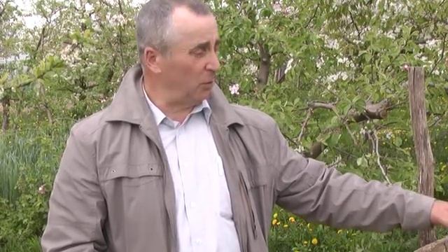 Удобрение для фруктовых деревьев смотреть онлайн