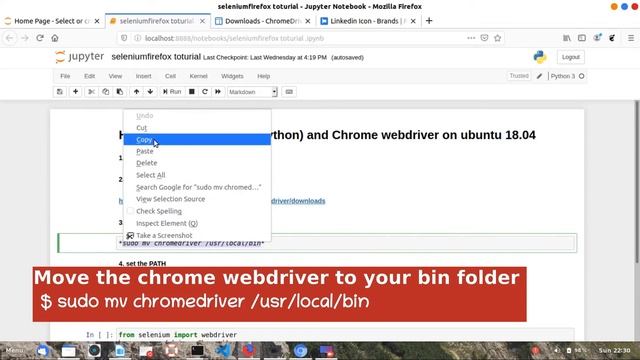 How to set up selenium(python) and Chrome Webdriver on Ubuntu 18.04. chromeorg смотреть онлайн