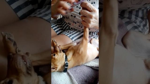 Пилим когти) смотреть онлайн