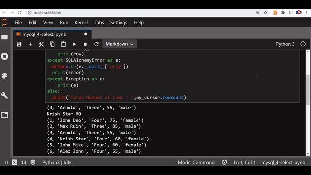 MySQL SELECT Query in Python using fetchall(), fetchmany(),fetchone(),first() methods by SQLAlchemy смотреть онлайн
