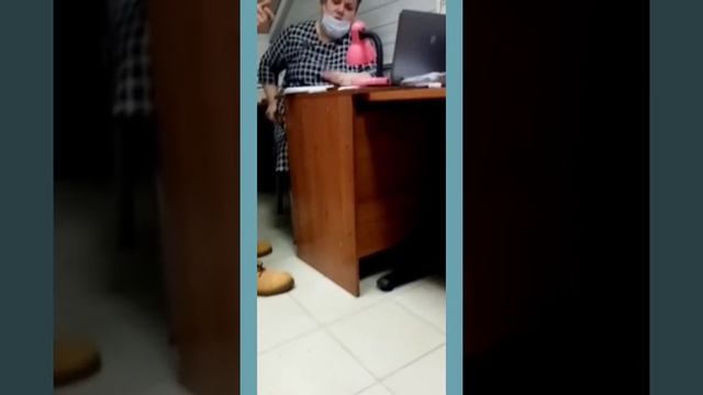 Снимают мои консультации скрытой камерой? смотреть онлайн