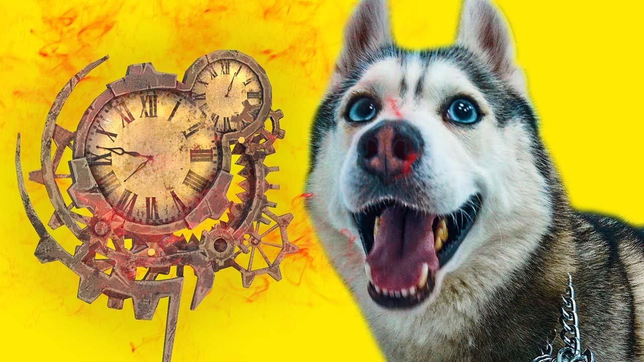 ФИНАЛЬНАЯ БИТВА С ХРАНИТЕЛЕМ ВРЕМЕНИ!! (Хаски Бандит) Говорящая собака смотреть онлайн
