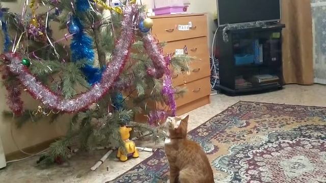 Кошка и новогодние игрушки смотреть онлайн