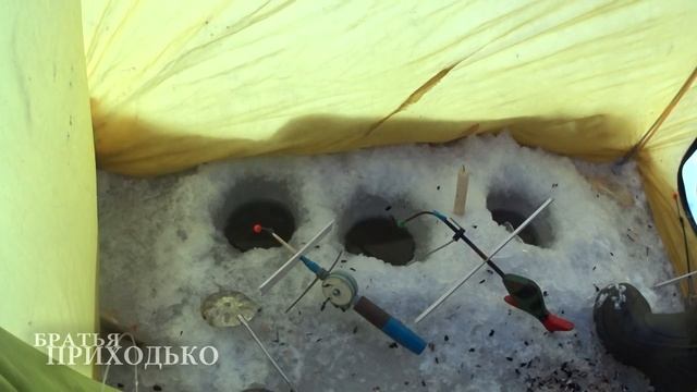 ХОРОШИЙ УЛОВ НА РЕКЕ ПЕЧОРА смотреть онлайн