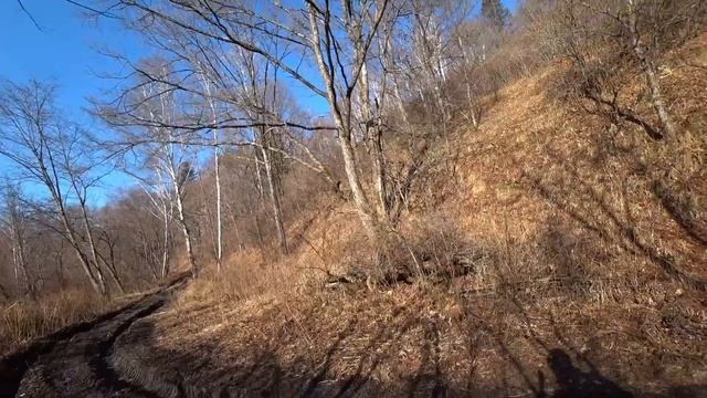 ДОБЫЛИ МЕДВЕДЯ. Наверное САМЫЙ опасный случай в моей практике. Продолжаем строить избу. смотреть онлайн