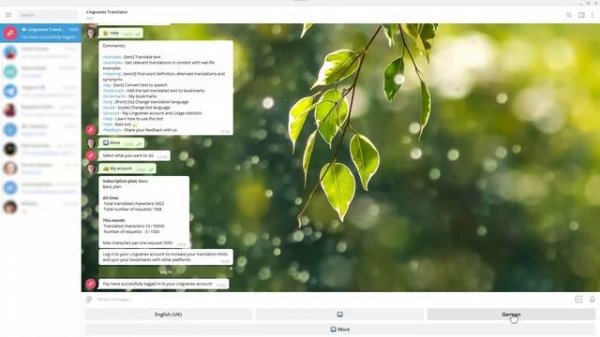 Lingvanex Chatbot User's Guide for Telegram | Translation Telegram