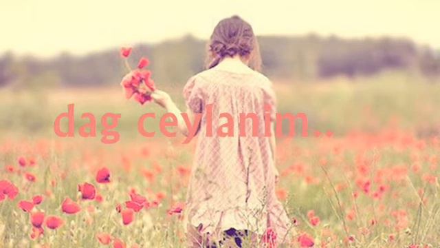 ErDo - Berivanim 2013 Canli Performans смотреть онлайн
