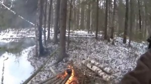 Охота на ЛОСЯ