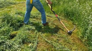 Косьба ручной косой неизвестной  травы(продолжение ЖАРЫ).