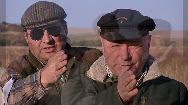 ФИЛЬД ТРАЙЛ английских спрингер спаниелей. Краснодарский край 2015г. смотреть онлайн