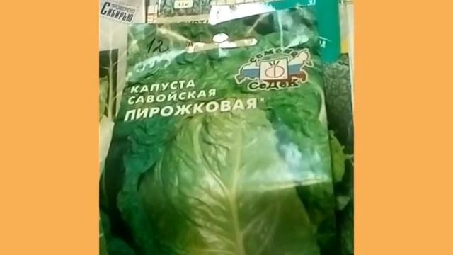 Лучшие сорта капусты для Сибири смотреть онлайн