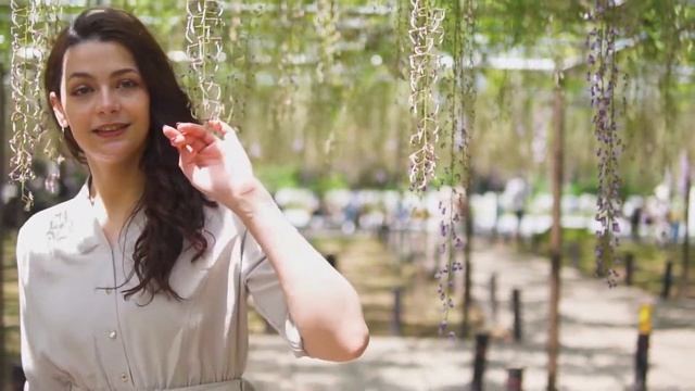 JAPAN CINEMATIC - SONY Alpha 6300 - Wisteria Flower смотреть онлайн