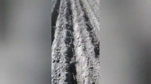 Посадка картофеля в борозду дисковым окучником  под мотоблок