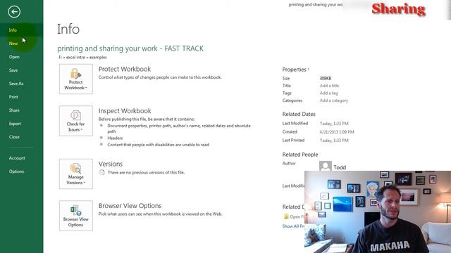 Share Excel Workbook смотреть онлайн