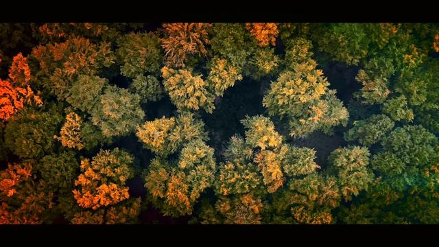 Игорь Дьяконов - Моя грустная родина.mp4 смотреть онлайн