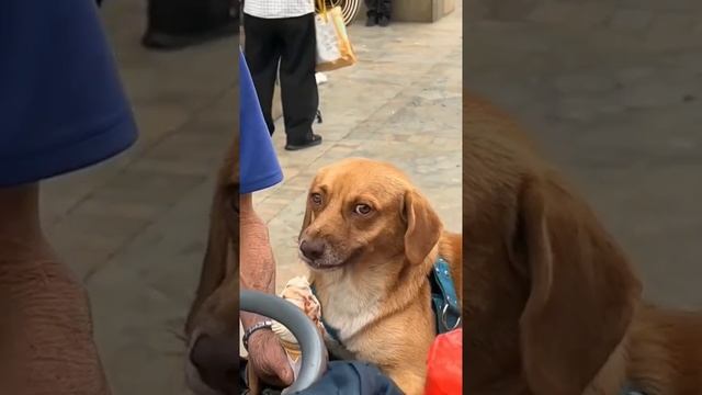 ??? смотреть онлайн
