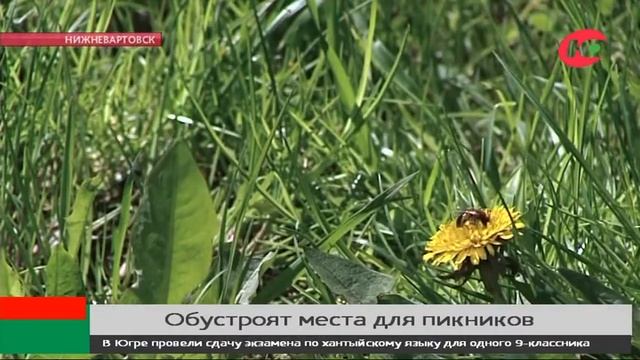 В Нижневартовске обустроят места для пикников смотреть онлайн