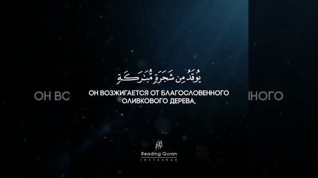 Коран
Сура 24 «Свет», аят 35.
Чтец: Абдуль-Рахман бин Абдуль-Салам аль-Али