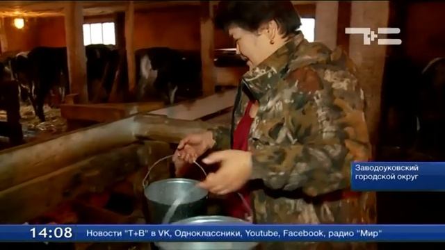 У владельцев заводоуковских ЛПХ - особая «сберегательная книжка» смотреть онлайн