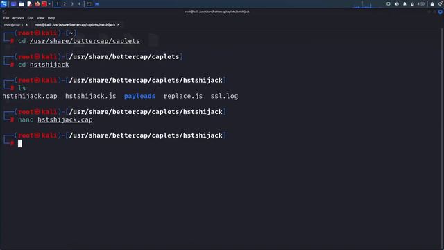 HSTS _ The Complete Ethical Hacking Course смотреть онлайн