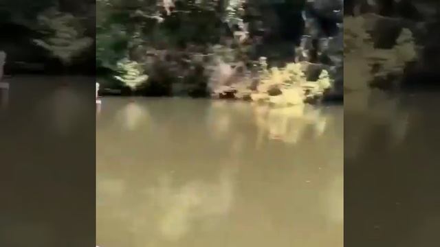 Это на кого такой воблер?/РЫБАЛКА смотреть онлайн