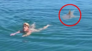 50 Невероятных Моментов, Снятых на Камеру