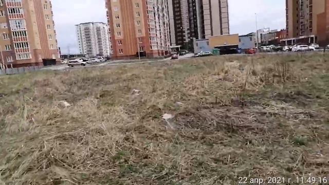 Пустырь между домами Бородинская 1 и Дениса Давыдова 4 смотреть онлайн