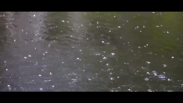 Очень красивое чтение стихотворения. смотреть онлайн