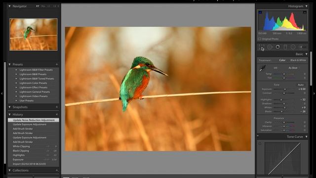 Editing a Kingfisher photo in Lightroom Classic CC смотреть онлайн