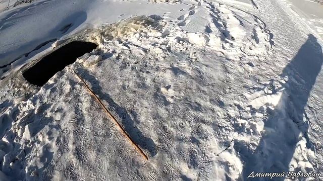 ОГРОМНЫЕ ЯЗИ И НЕ ТОЛЬКО! Рыбалка на паук в ледяной проруби! смотреть онлайн