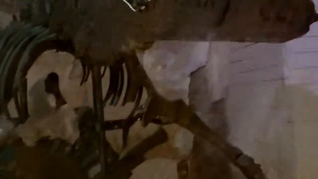 Выставка динозавров в г. Перми!