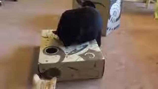 Интерактивные игрушки для кошек Catit Senses 2.0 смотреть онлайн