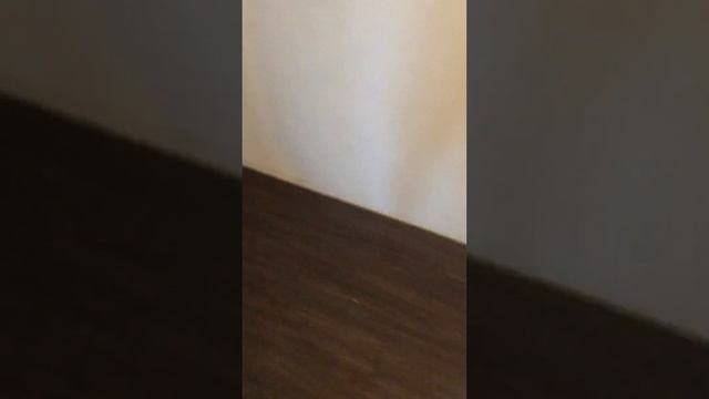 Укладка ламината единым контуром смотреть онлайн