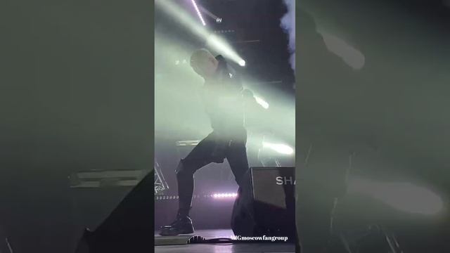 Это вечное в нашей крови! SHAMAN!???❤️ смотреть онлайн