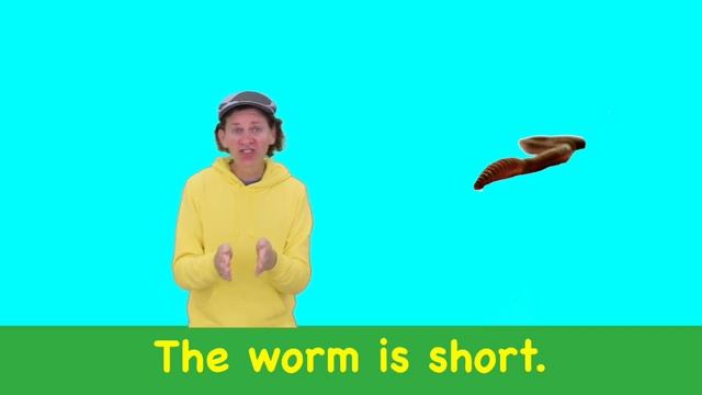 Long Short Opposites Song | Learning Opposites | Dream English Kids смотреть онлайн