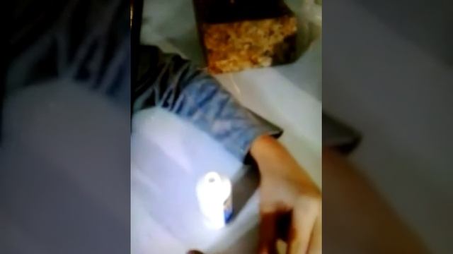 Лейвфак как разбавить замазку смотреть онлайн