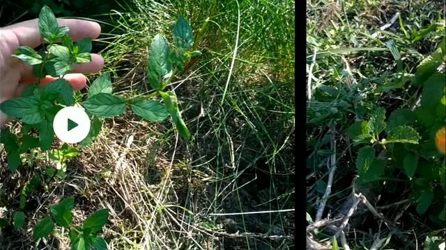 Строительная Лаборатория