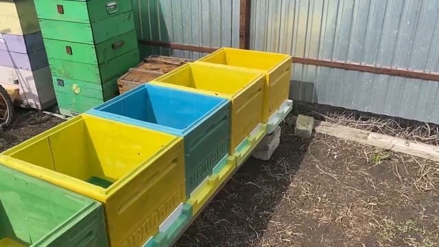Подставки под улья за 53 рубля смотреть онлайн