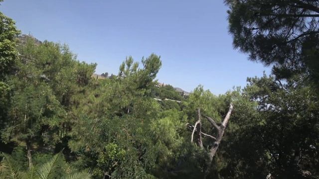 CLUB MARVY, ТУРЦИЯ: обзор номера бунгало с частичным видом на море, в сад. Измир, Оздере смотреть онлайн