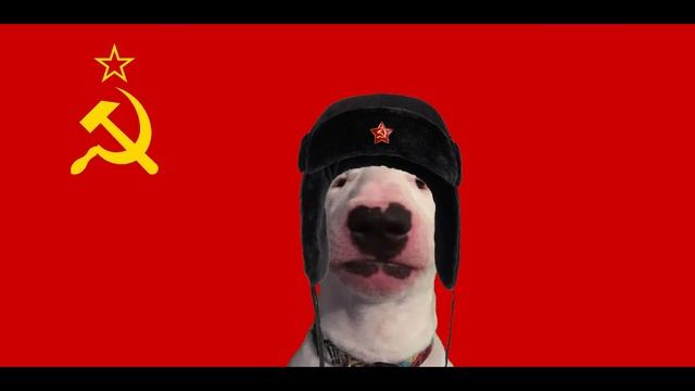 Yablochko Walter смотреть онлайн