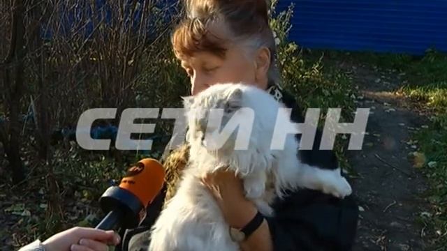 Шумовая атака на ул. Ивлиева смотреть онлайн