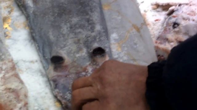 Легко и быстро делаем засолку шкуры.Способ хранения мокросолёной шкуры нутрии. смотреть онлайн