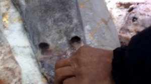 Легко и быстро делаем засолку шкуры.Способ хранения мокросолёной  шкуры нутрии.