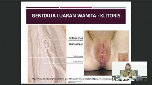 Forum: Female Genital mutilation vs Female Circumcision