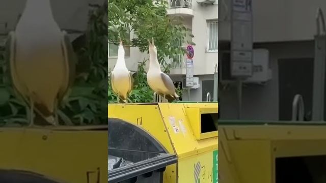 Когда пошутили с корешем) смотреть онлайн