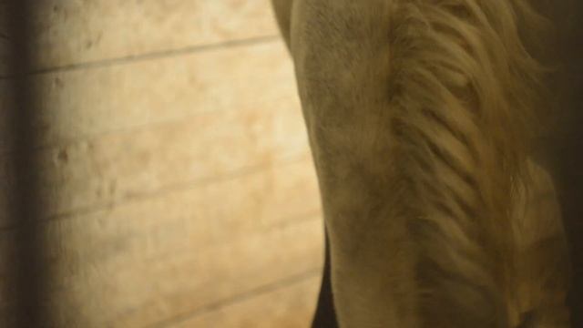 НАТАЛЬИНСКИЙ Конный Клуб l NIKON D3200 + Гелиос 44-2 смотреть онлайн