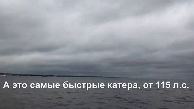 Водно-моторные гонки в Балтийце 25.07.2020 смотреть онлайн