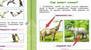 Окружающий мир. Рабочая тетрадь 1 класс 2 часть. ГДЗ стр. 10 №1